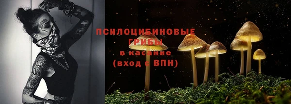 наркотики Белокуриха